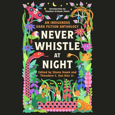 Never Whistle at Night: An Indigenous Dark Fiction Anthology Audibook, by Shane Hawk