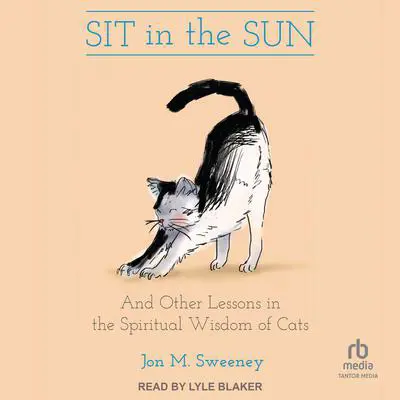 Sit in the Sun: And Other Lessons in the Spiritual Wisdom of Cats Audibook, by Jon M. Sweeney
