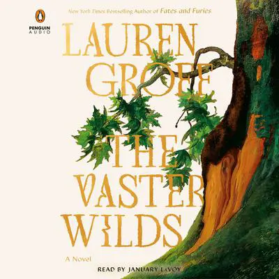 The Vaster Wilds: A Novel Audibook, by Lauren Groff