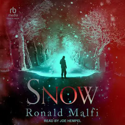 Snow Audibook, by Ronald Malfi