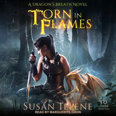 Torn in Flames Audibook, by Susan Illene