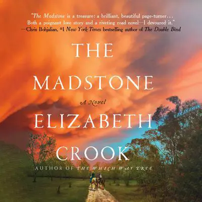 The Madstone: A Novel Audibook, by Elizabeth Crook