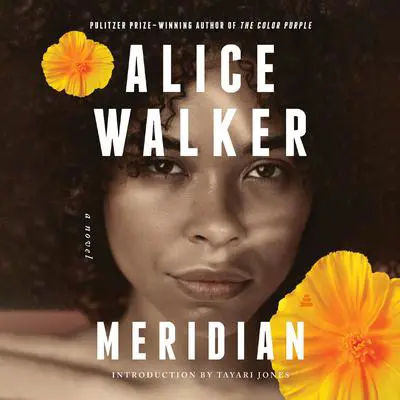 Meridian: A Novel Audibook, by Alice Walker