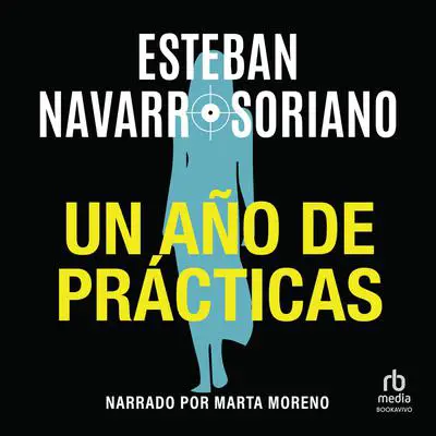 Un año de prácticas Audibook, by Esteban Navarro Soriano