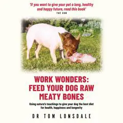 Work Wonders Audibook, by Tom Lonsdale