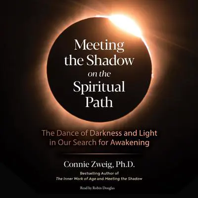Meeting the Shadow on the Spiritual Path: The Dance of Darkness and Light in Our Search for Awakening Audibook, by Connie Zweig
