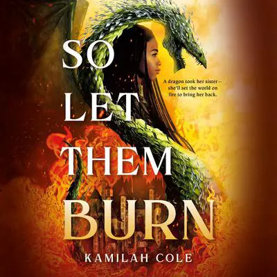 So Let Them Burn Audibook, by Kamilah Cole