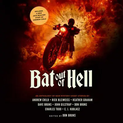 Bat Out of Hell: An Anthology of New Mystery Short Stories Audibook, by Don Bruns