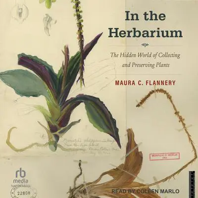 In the Herbarium: The Hidden World of Collecting and Preserving Plants Audibook, by Maura C. Flannery