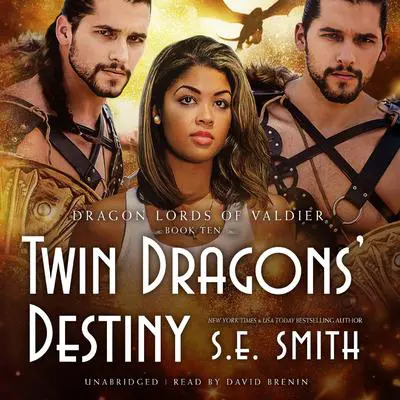 Twin Dragons’ Destiny Audibook, by S.E. Smith