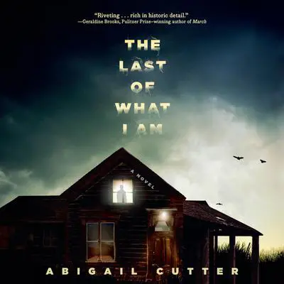 The Last of What I Am Audibook, by Abigail Cutter