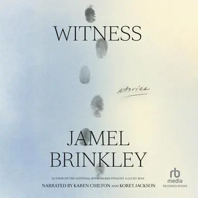 Witness: Stories Audibook, by Jamel Brinkley