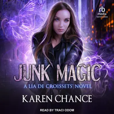 Junk Magic Audibook, by Karen Chance