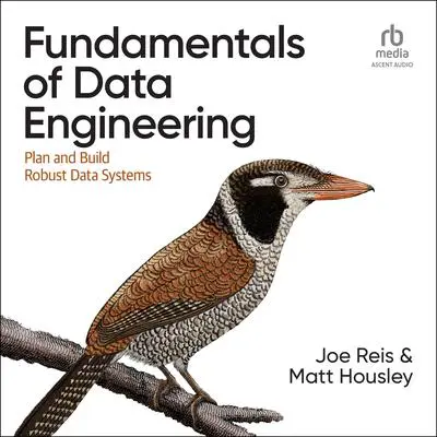 Fundamentals of Data Engineering: Plan and Build Robust Data Systems Audibook, by Joe Reis