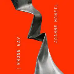 Wrong Way Audibook, by Joanne McNeil