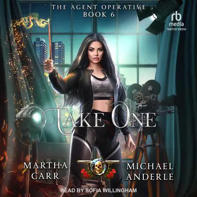Take One Audibook, by Michael Anderle
