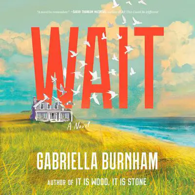 Wait: A Novel Audibook, by Gabriella Burnham