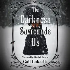 The Darkness Surrounds Us Audibook, by Gail Lukasik