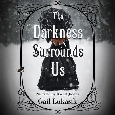 The Darkness Surrounds Us Audibook, by Gail Lukasik