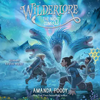 The Night Compass Audibook, by Amanda Foody