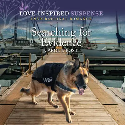 Searching for Evidence Audibook, by Carol J. Post