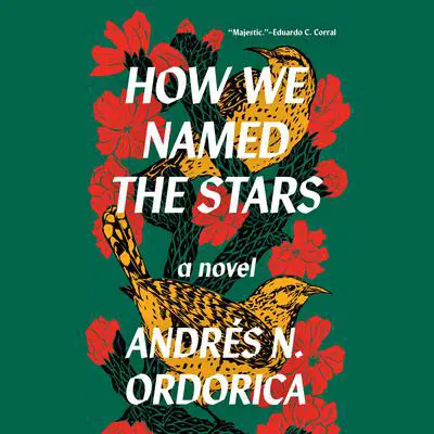 How We Named the Stars Audibook, by Andrés N. Ordorica