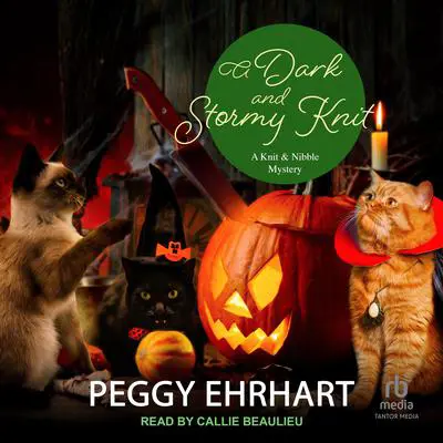 A Dark and Stormy Knit Audibook, by Peggy Ehrhart