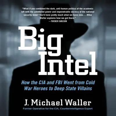 Big Intel: How the CIA Went from Cold War Heroes to Deep State Villains Audibook, by J. Michael Waller