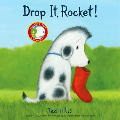 Drop It, Rocket! Audibook, by Tad Hills