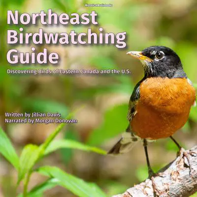 Northeast Birdwatching Guide Audibook, by Jillian Davis