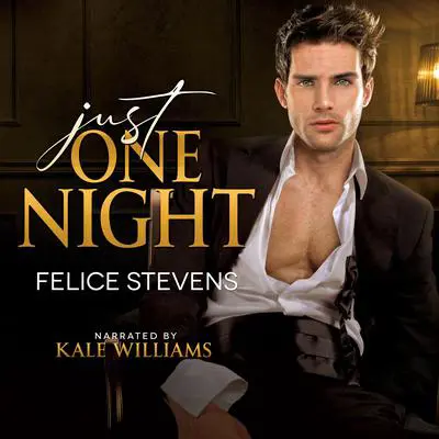 Just One Night Audibook, by Felice Stevens