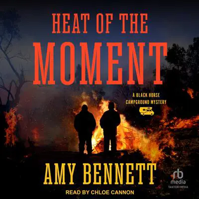 Heat of the Moment Audibook, by Amy Bennett