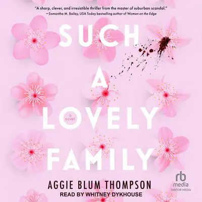 Such a Lovely Family Audibook, by Aggie Blum Thompson