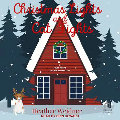 Christmas Lights and Cat Fights Audibook, by Heather Weidner