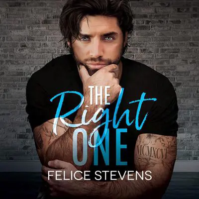 The Right One Audibook, by Felice Stevens