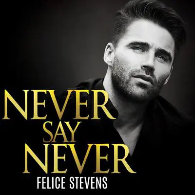 Never Say Never Audibook, by Felice Stevens