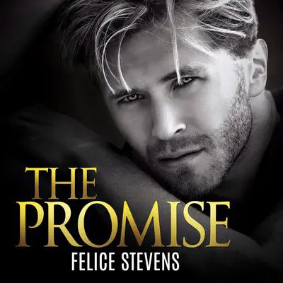 The Promise Audibook, by Felice Stevens