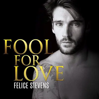 Fool for Love: Lost in New York Book 1 Audibook, by Felice Stevens