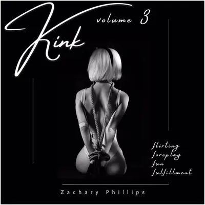 Kink: Volume 3 Audibook, by Zachary Phillips
