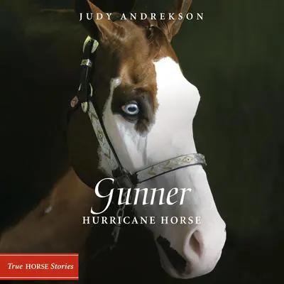 Gunner: Hurricane Horse Audibook, by Judy Andrekson