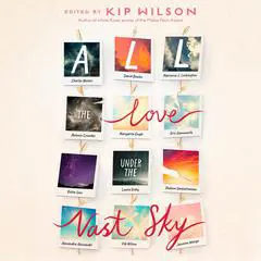All the Love Under the Vast Sky Audibook, by Laura Ruby