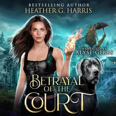 Betrayal of the Court: An Urban Fantasy Novel (The Other Realm, Book 6) Audibook, by Heather G. Harris