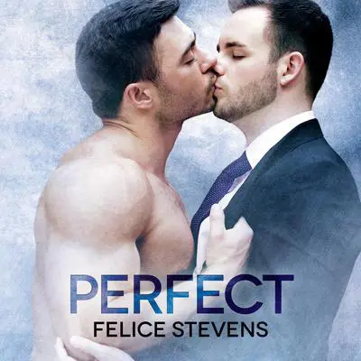 Perfect Audibook, by Felice Stevens