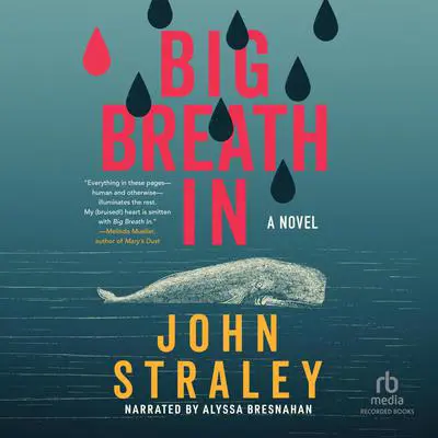 Big Breath In: A Novel Audibook, by John Straley