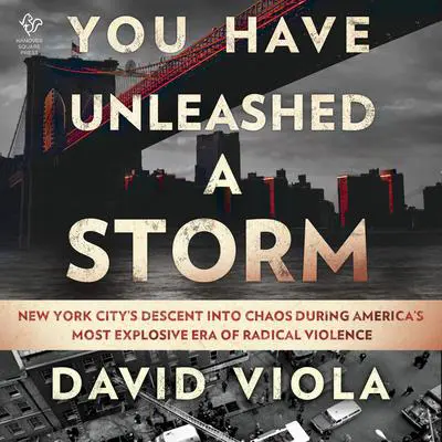 You Have Unleashed a Storm: New York City's Descent into Chaos During America's Most Explosive Era of Radical Violence Audibook, by David Viola