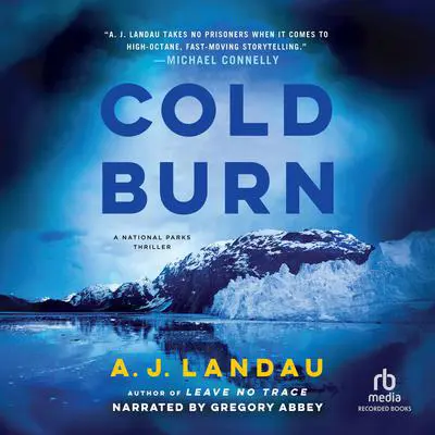 Cold Burn Audibook, by A. J. Landau