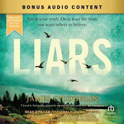 Liars Audibook, by James O'Loghlin