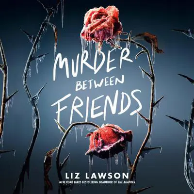 Murder Between Friends Audibook, by Liz Lawson