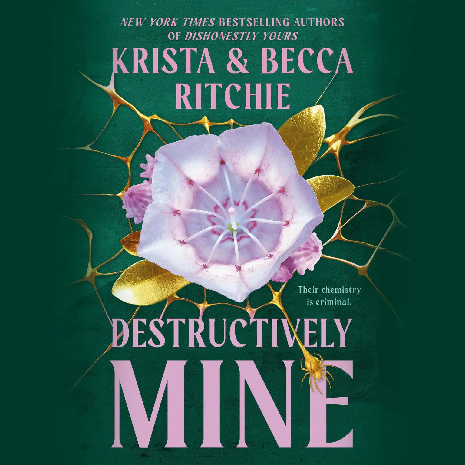 Destructively Mine Audiobook, by Becca Ritchie