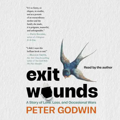 Exit Wounds: A Story of Love, Loss, and Occasional Wars Audibook, by Peter Godwin
